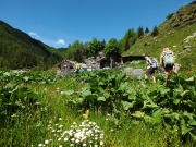 26 alla Baita Vecchia di sotto (1419 m.)